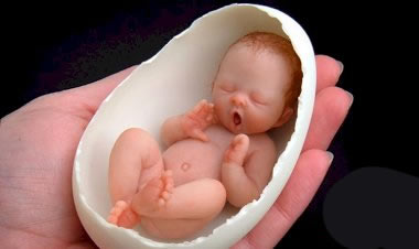 Bebés de "porcelana" hiperrealistas